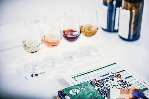 WSET在华暂停课程与考试，酒类培训机构接受调查引发行业关注